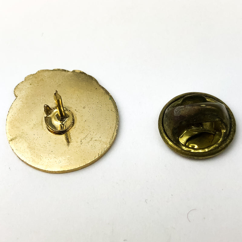 Vintage American Red Cross ARC Pinback Central Arizona Chapter Phoenix Rising 2