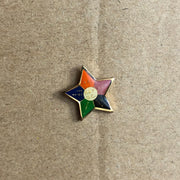 United Brotherhood of Carpenter's UBC Lapel Pin Bay Area California Local Star 2