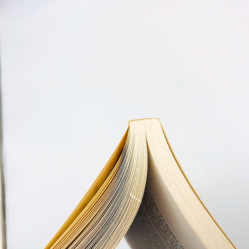 Richard Ford Book Wildlife Paperback 1990 1st Edition 1960s Teenager Divorce 10