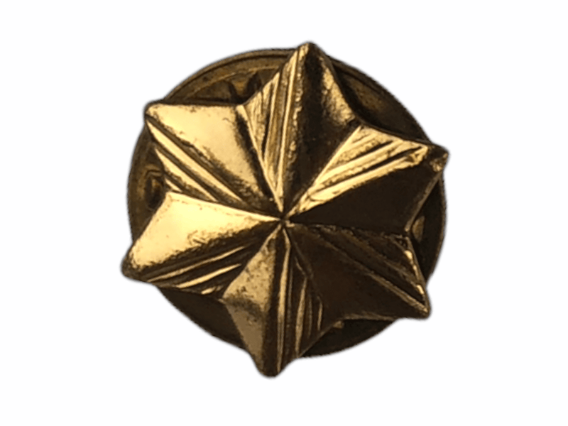 Vintage Girl Scout Membership Star Pin Lapel Pinback 1