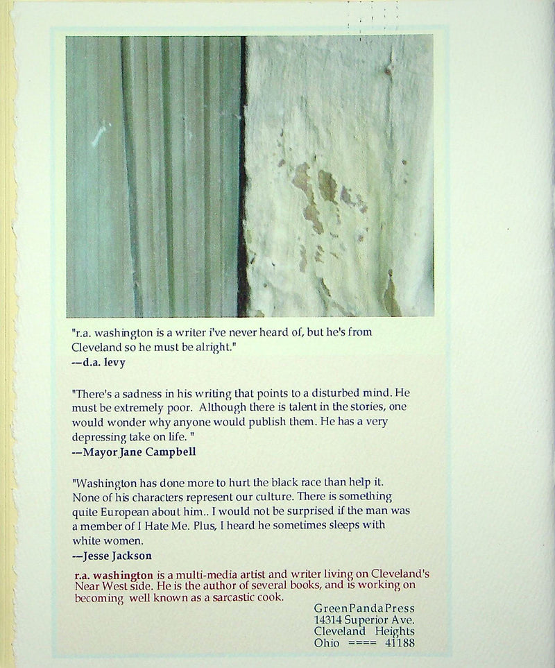 What Grows Glass Zine Stories R A Washington Cleveland Ohio Writer 2004 DIY