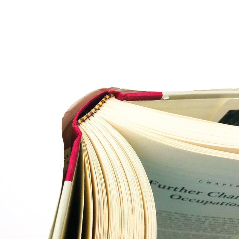 Mona In The Promised Land Hardcover Gish Jen 1996 Chinese American Families Love 10