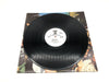 Paul Korda Dancing in the Aisles Record 33 RPM LP JXS-7038 Janus Records 1978 11