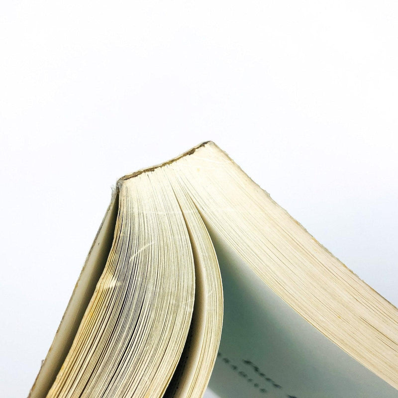 Red China Blues Paperback Jan Wong 1997 Politics Government Social Conditions 9