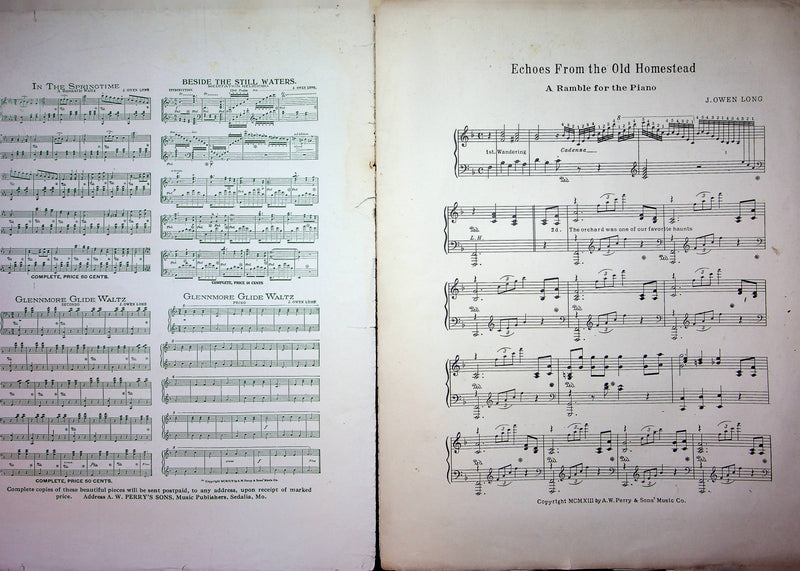 Echoes From The Old Homestead Vintage Sheet Music J Owen Long 1913 A W Perrys 3
