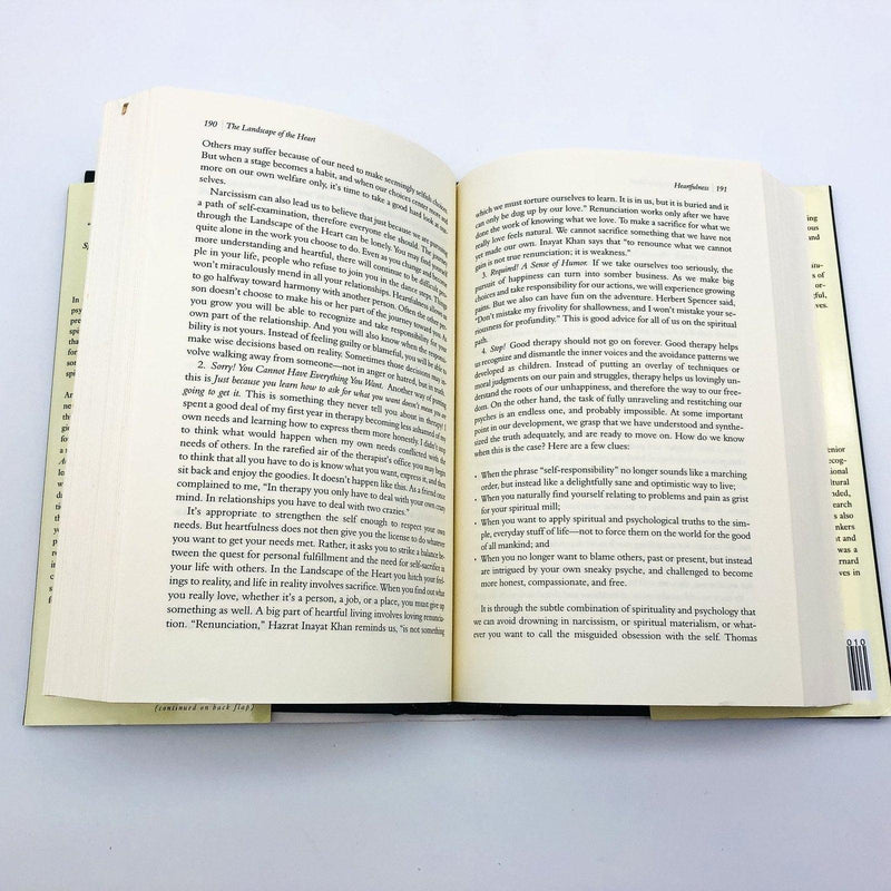 The New American Spirituality Hardcover Elizabeth Lesser 1999 Seekers Guide 1st 10