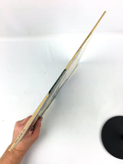 England Dan & John Ford Coley Somethings Don't Come Easy Record Big Tree 1978 6