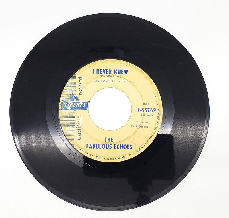 The Fabulous Echoes I Never Knew 45 RPM Single Record Liberty 1965 55769 1