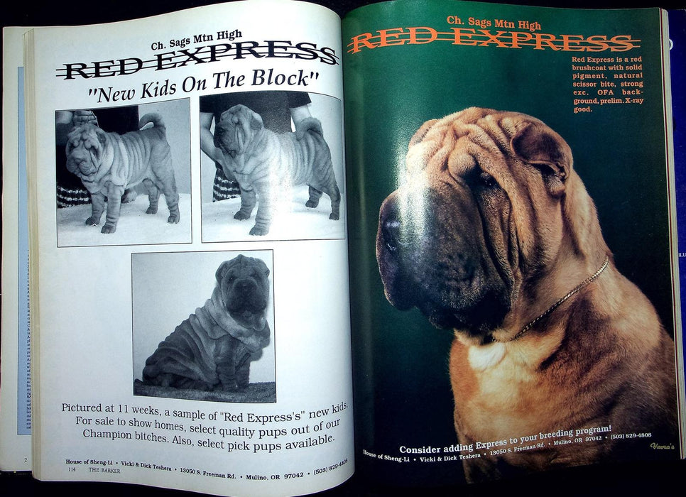 The Barker Magazine May June 1991 Shar-Pei Dog Masticatory Myocitis Disease