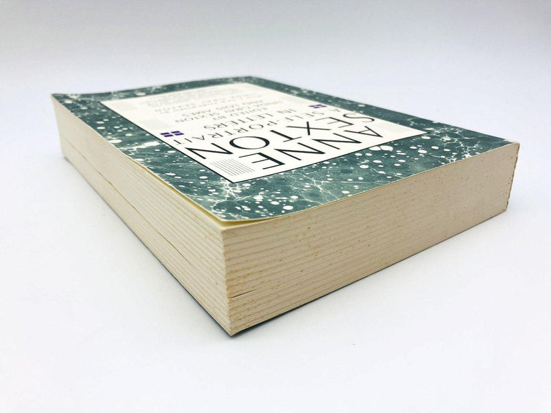 A Self Portrait In Letters Paperback Louis Ames 1991 Signed 1st Edition Poetry 5