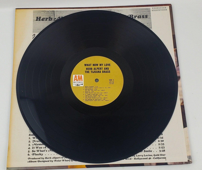 Herb Alpert & The Tijuana Brass What Now My Love Record 33 RPM LP 1966 Copy 4 4