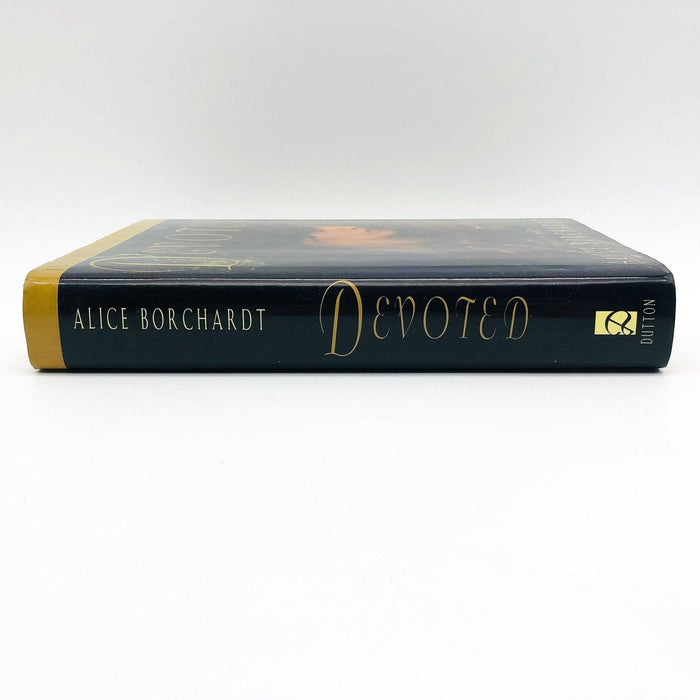 Devotion Hardcover Alice Borchardt 1995 Anne Rice Intro Mystical Magic Copy 1 3