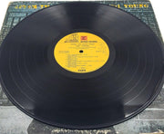 Neil Young After The Gold Rush Record 33 RPM LP SKAO-93383 Reprise 1970 9