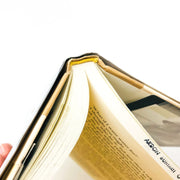 Love And Summer Hardcover William Trevor 2009 1st Edition Ireland Love Affair 11