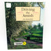 Driving The Amish Paperback Jim Butterfield 1997 Holmes Pennsylvania Dutch 1