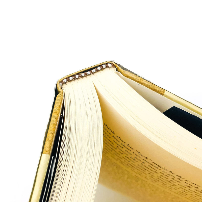 The Infinite Plan Hardcover Isabel Allende 1993 1st Edition Traveling Preacher 11