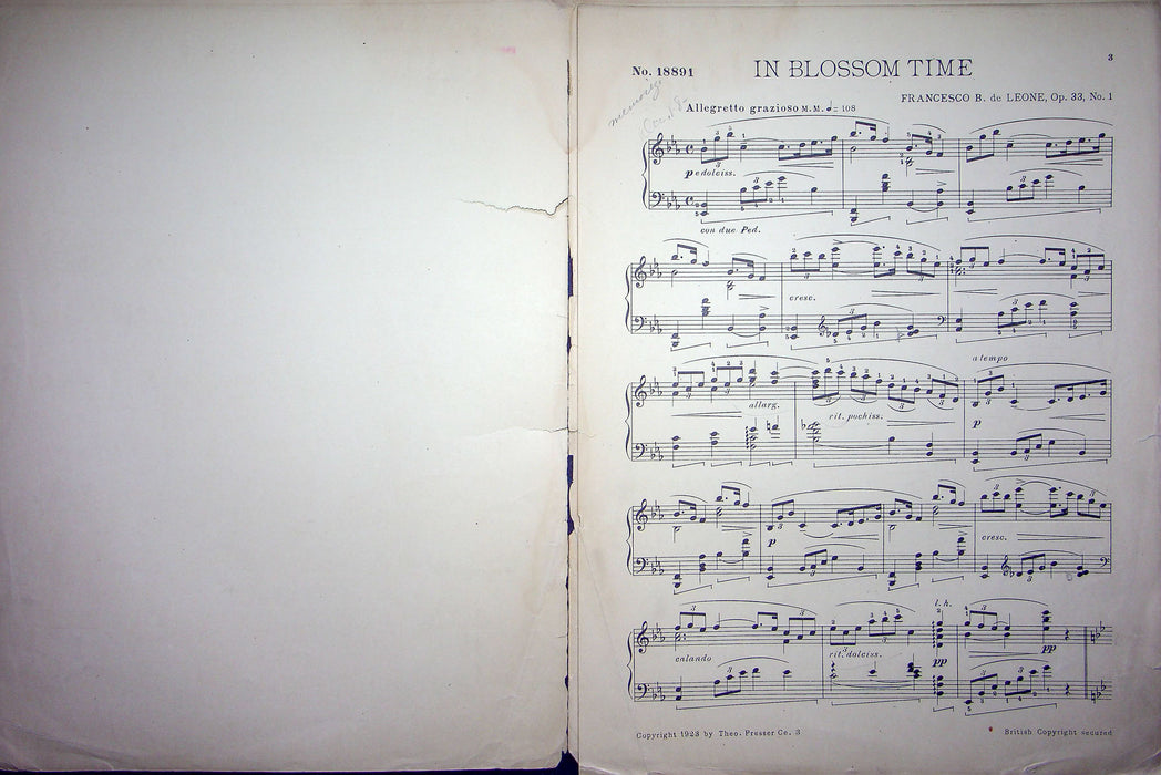 Sheet Music In Blossom Time Francesco B De Leone 1923 Theo Presser Pianoforte 2