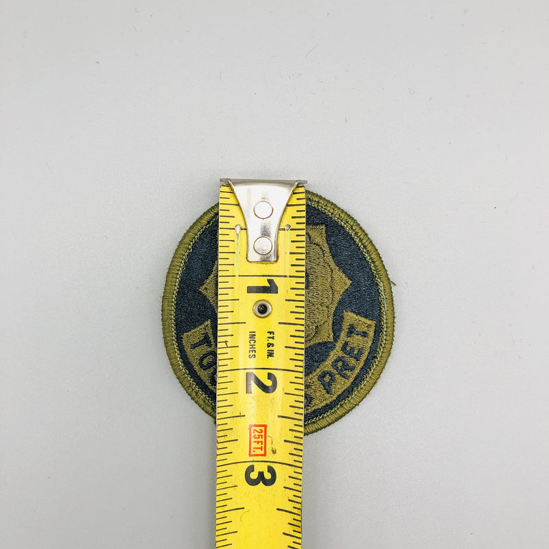 US Army Patch 2nd Armored Cavalry Regiment Toujours Pret No Glow Subdued 4