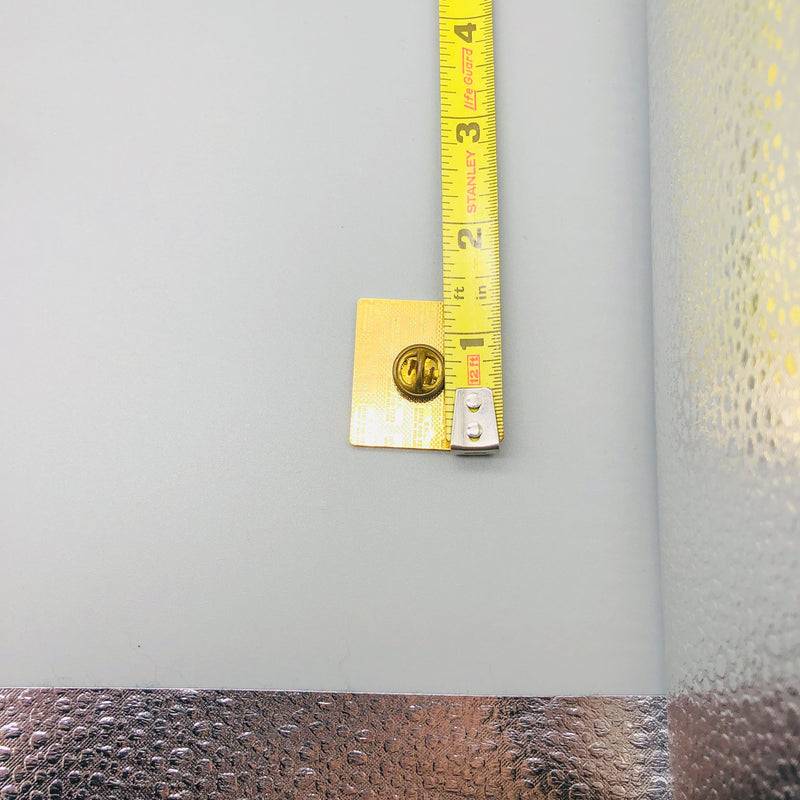 Brickyard 400 Lapel Pin Indianapolis Motor Speedway Inaugural Race Indy Racing 2