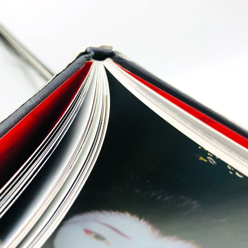 Geisha Hardcover Kyoko Aihara 1999 The World of Kyoto Japan Culture 11