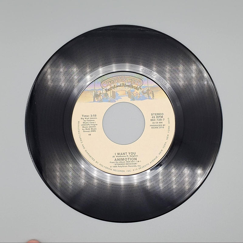 Animotion I Want You Single Record Casablanca 1986 884 729-7 4