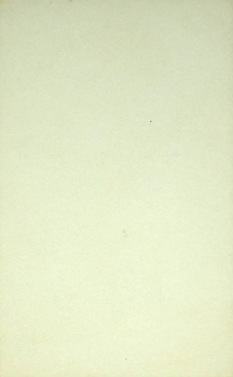 50s Pin Up Promo Photo Card Woman Model Bikini Swimsuit Strapless Hands On Hip 1