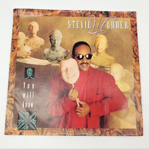 Stevie Wonder You Will Know Single Record Motown 1987 1919 MF 1