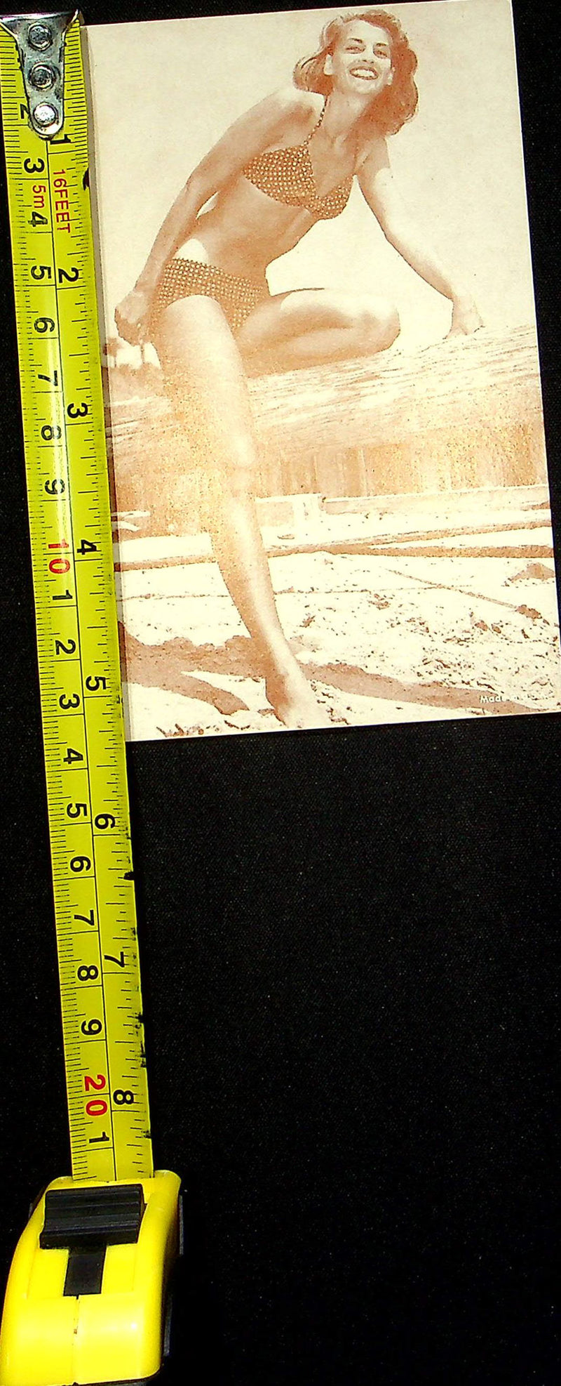 US 50s Pin Up Promo Photo Card Woman Model Bikini Gingham Print Log Driftwood 1
