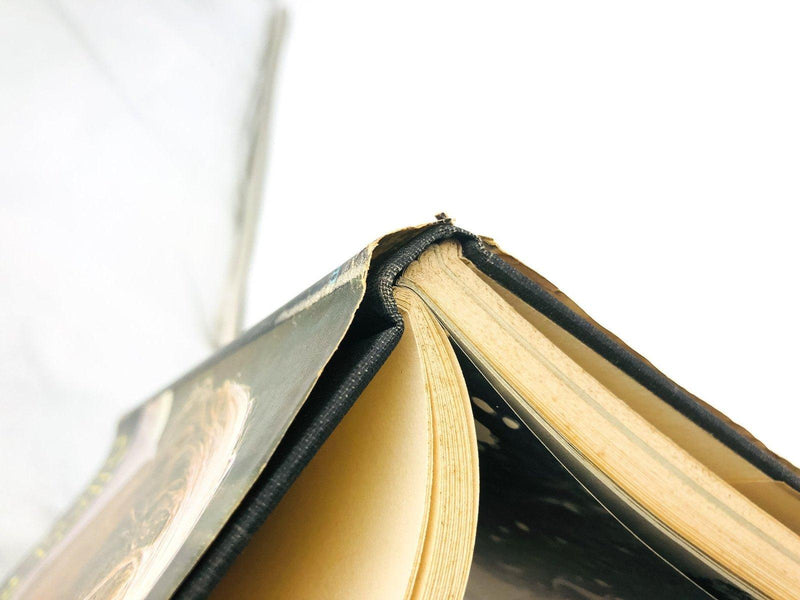 Albert Schweitzer's Gift Of Friendship Hardcover Erica Anderson 1964 Intimate 10