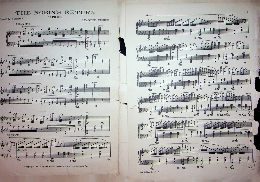 The Robins Return Caprice Vintage Sheet Music Leander Fisher 1926 Pian ...