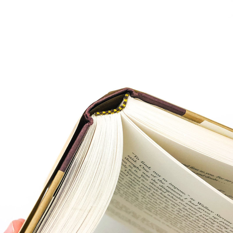 The Biographer's Tale HC A. S. Byatt 2001 Biographers Young Men 1st Edition 12