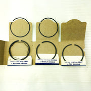 Briggs and Stratton 298745 Piston Ring Set Chrome Genuine OEM New Old Stock NOS 3