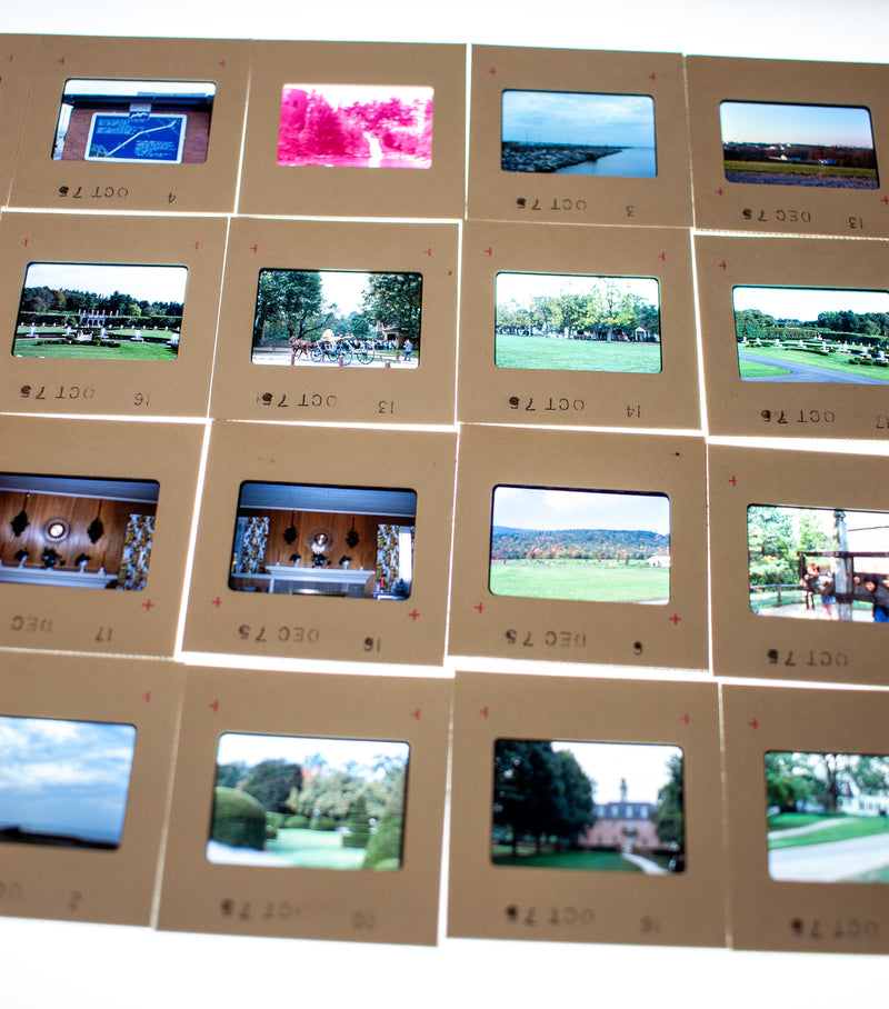Vintage 35mm Photo Transparency Slides - Longwood Garden 1975 | Lot of 60