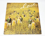 The Young Americans Love LP Record Victor World Group 1971 SJET 8370 1