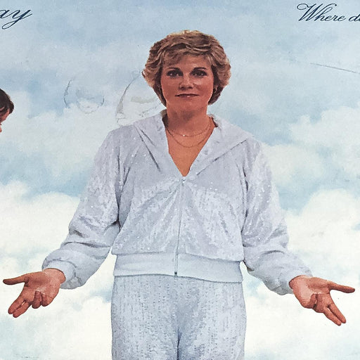 Anne Murray Where Do You Go When You Dream Vinyl Record SOO-12144 Capitol 1981 1