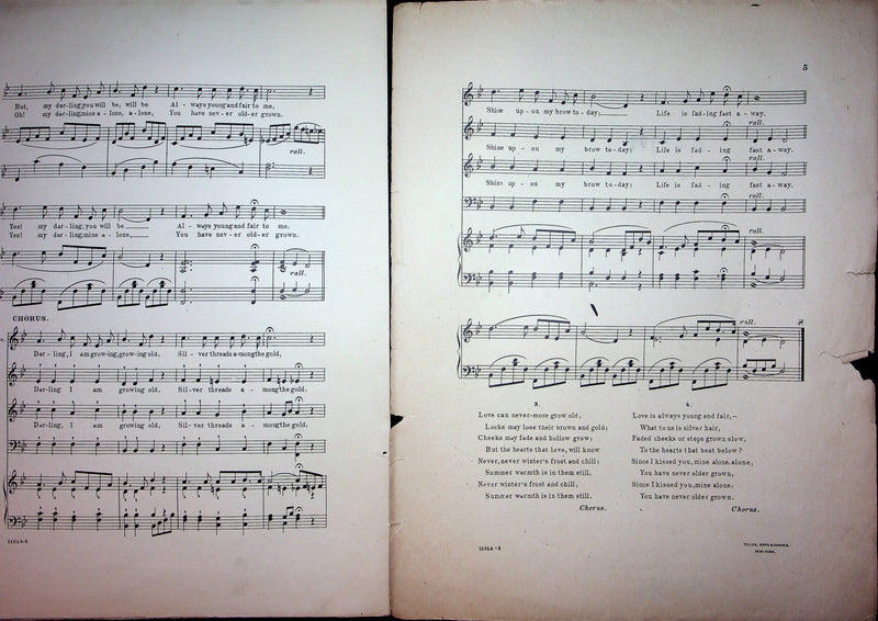 Silver Threads Among the Gold Vintage Sheet Music Ebene Rexford HP Danks 1901 3