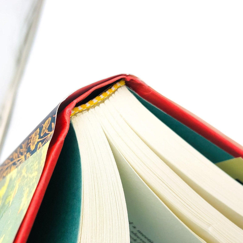 The Hero's Walk Hardcover Anita Rau Badami 2001 East Indian Family Relationships 10