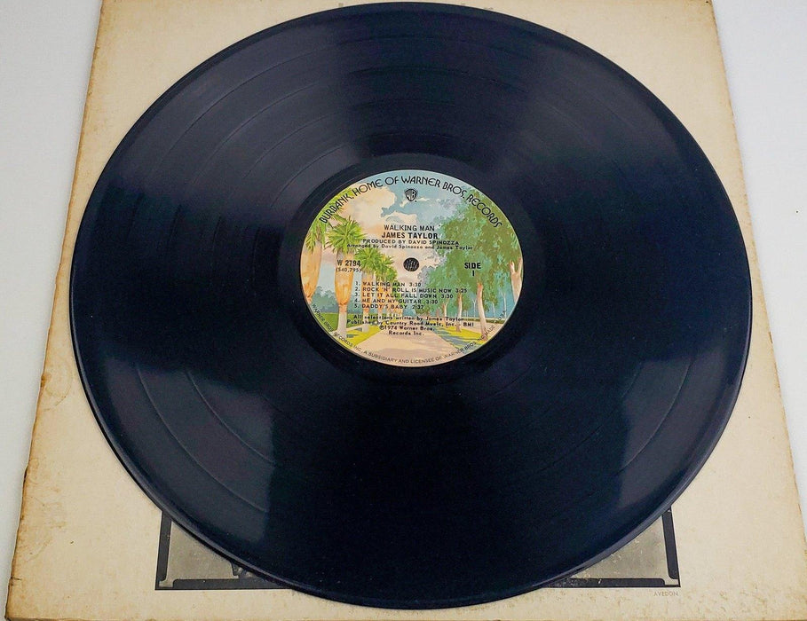James Taylor Walking Man 33 RPM LP Record Warner Bros 1974 W 2794 5