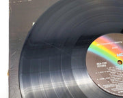 Cher Bittersweet White Light 33 RPM LP Record MCA Records 1973 6