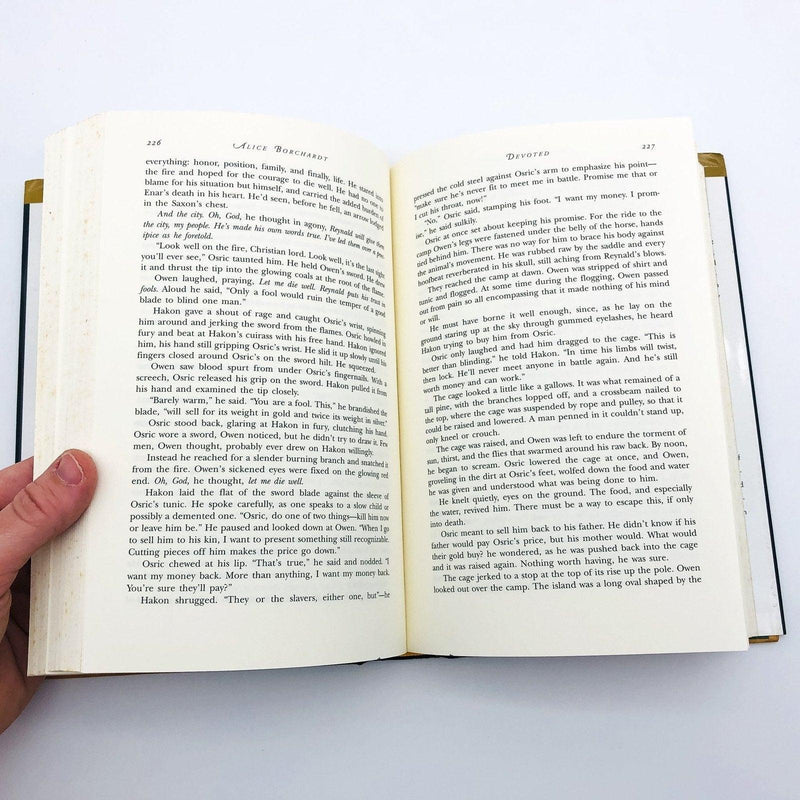 Devotion Hardcover Alice Borchardt 1995 Anne Rice Intro Mystical Magic Copy 2 9