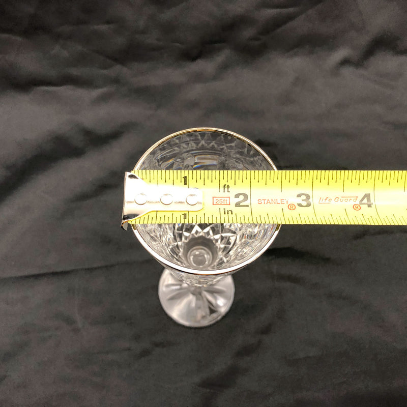 Waterford Champaign Flute Platinum Lismore 8-7/8" Signed Silver Rim 101661