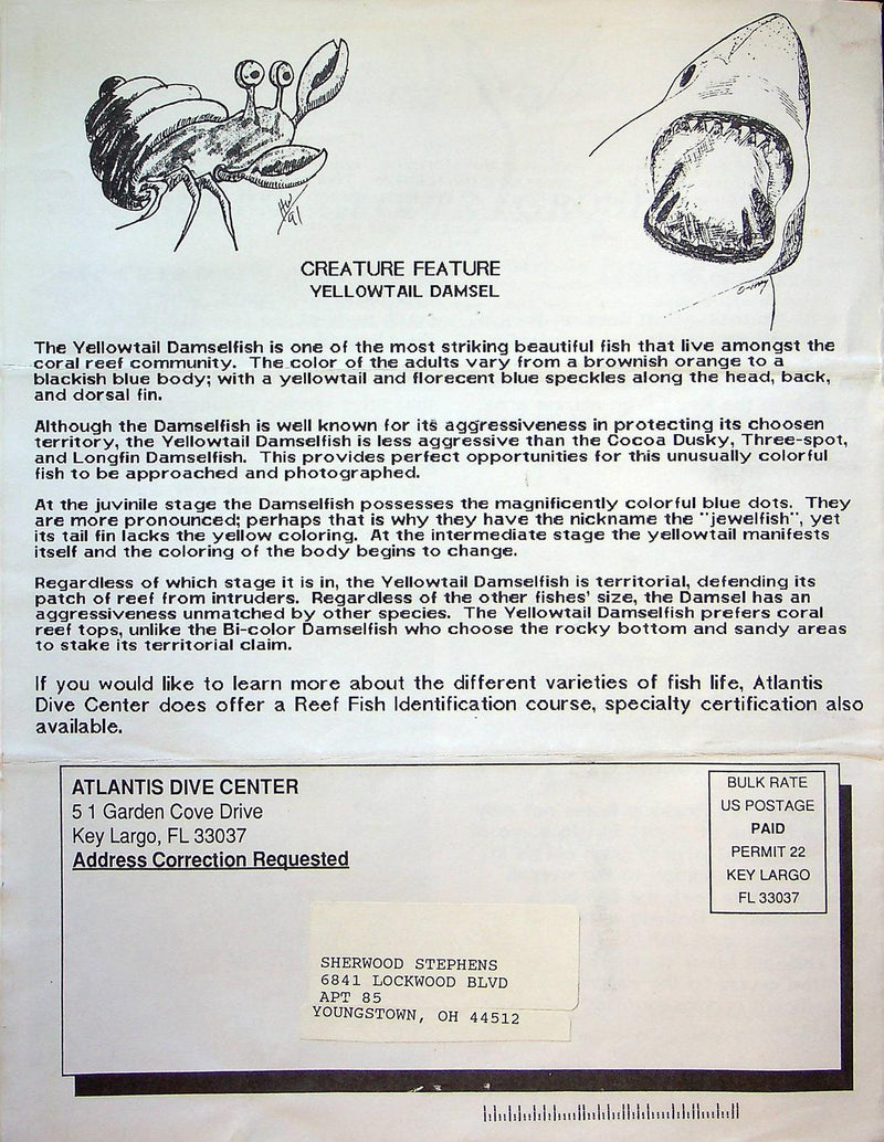 The Atlantis Fall 1992 Newsletter Pamphlet 2