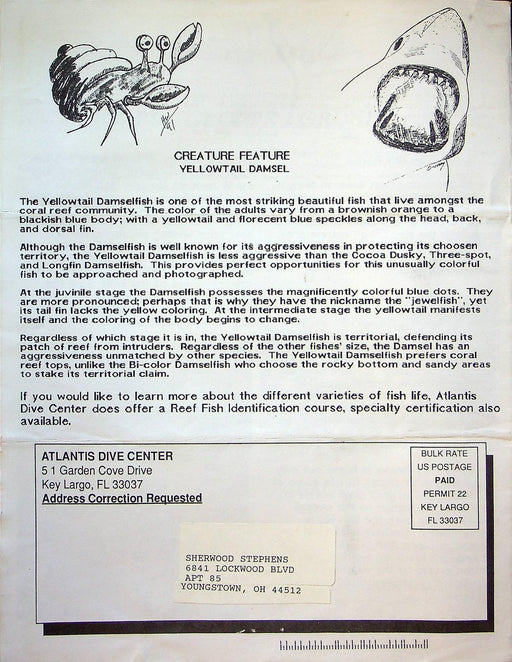 The Atlantis Fall 1992 Newsletter Pamphlet 2