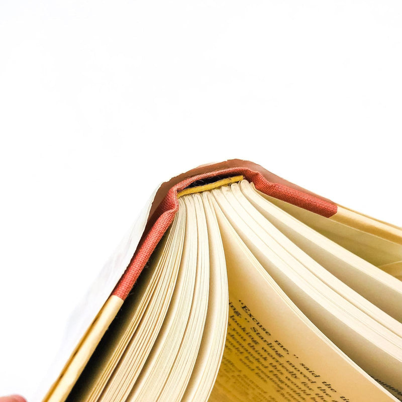 Hunters and Gatherers Hardcover Francine Prose 1995 1st Edition Relationships 11