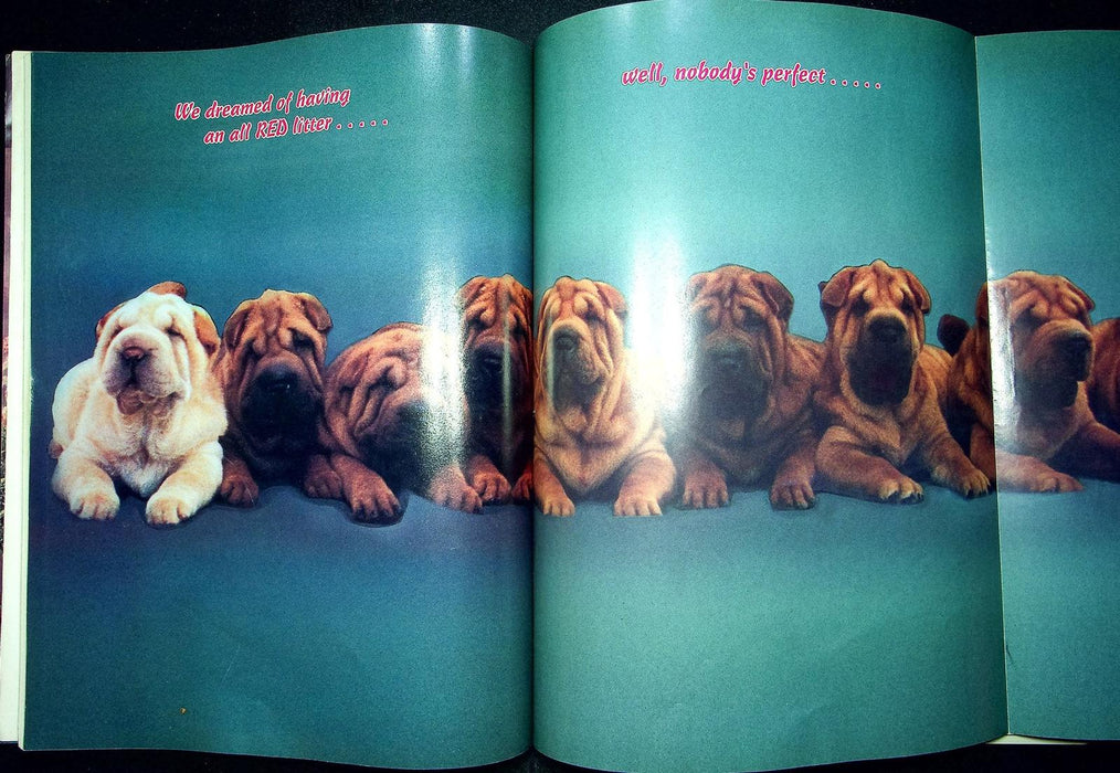 The Barker Magazine Nov Dec 1991 Shar-Pei Dog Obedience Shows Breeder Directory