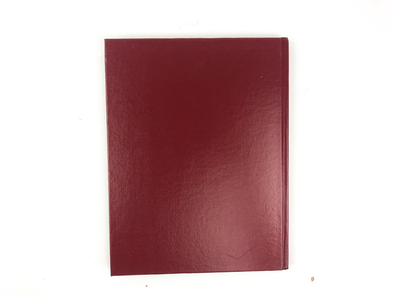 Pitcairn Centennial 1894-1994 Alleghany Pennslyvania Railroad Train Town History