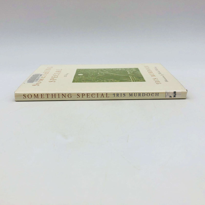 Iris Murdoch Book Something Special Hardcover 2000 1st Edition Irish Girl Marry 3
