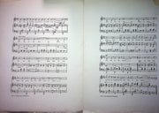 Little Miss Springtime Sheet Music In The Garden Of Romanc 1915 Emmerich Kalman 3