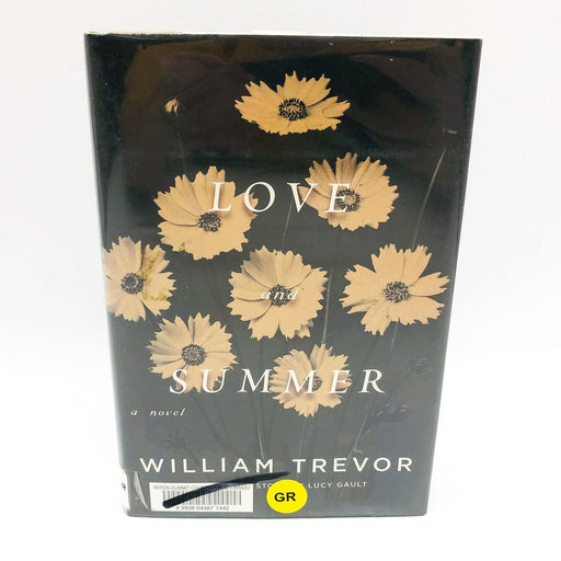 Love And Summer Hardcover William Trevor 2009 1st Edition Ireland Love Affair 1