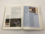 The Birds Around Us Ortho Books 1986 Hardcover Full Color Guide to Birdwatching 9